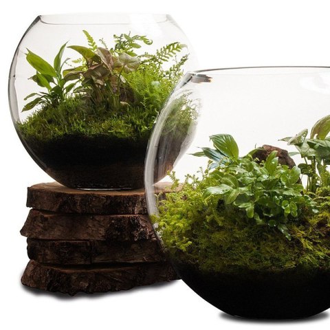 Aquabotanique biogrunt 6.2l - podłoże i drenaż Aquabotanique biogrunt 6.2l - podłoże i drenaż