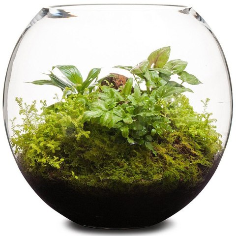 Aquabotanique biogrunt 6.2l - podłoże i drenaż Aquabotanique biogrunt 6.2l - podłoże i drenaż