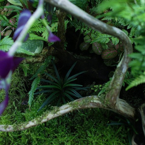 YOKUCHI HAISUI BASE 0,5L - podłoże drenażowe do terrarium YOKUCHI HAISUI BASE 0,5L - podłoże drenażowe do terrarium